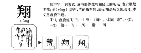 翔的五行|翔